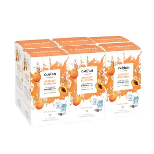Apricot Blossom Cold Brew Tea Multi-Pack (6 x 20 Teabags)