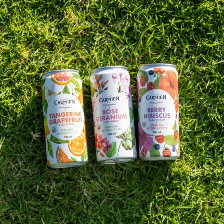 Refreshing Tangerine & Fruit Sparkling Ice Tea in 300ml can. Perfect for a cool, revitalizing drink with natural flavors from CarmiƩn Tea.