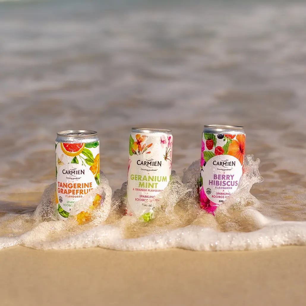 Sparkling Ice Tea Mixed Case (24 x 300ml) - Image 3