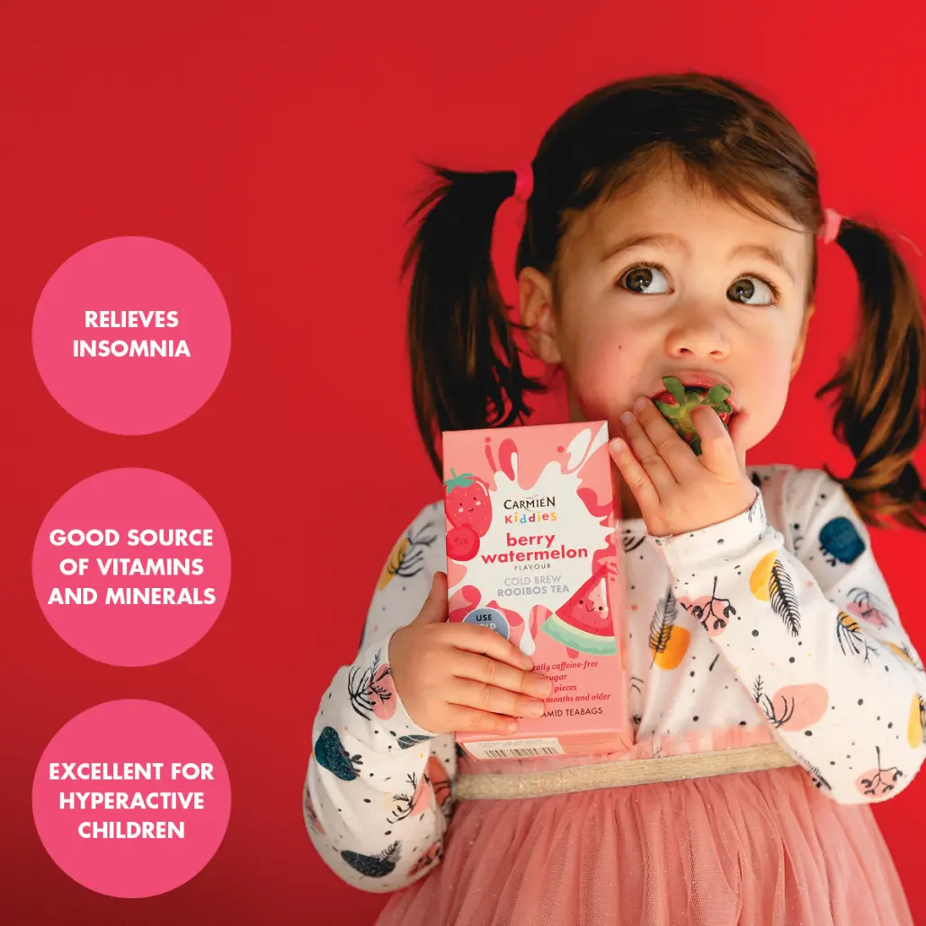 Berry Watermelon Kiddies Cold Brew Tea (20 Teabags) - Image 7