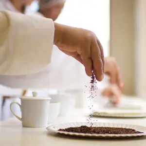 carmien organic audits