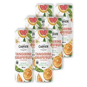 Carmien Sparkling Iced Teas 6 Pack Tangerine Grapefruit