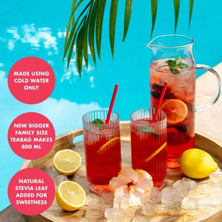 Refreshing Cranberry Hibiscus Iced Tea with Lemon.